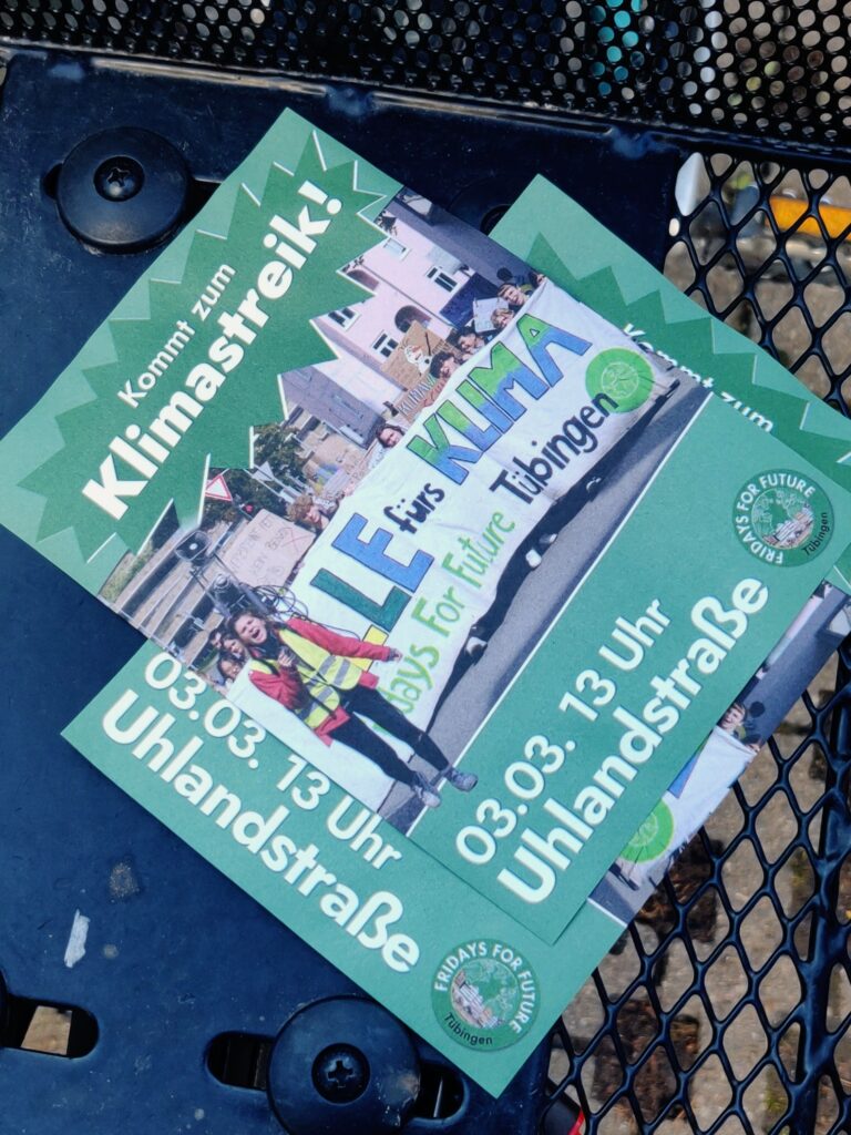 Fridays for Future Flyer in einem Fahrradkorb