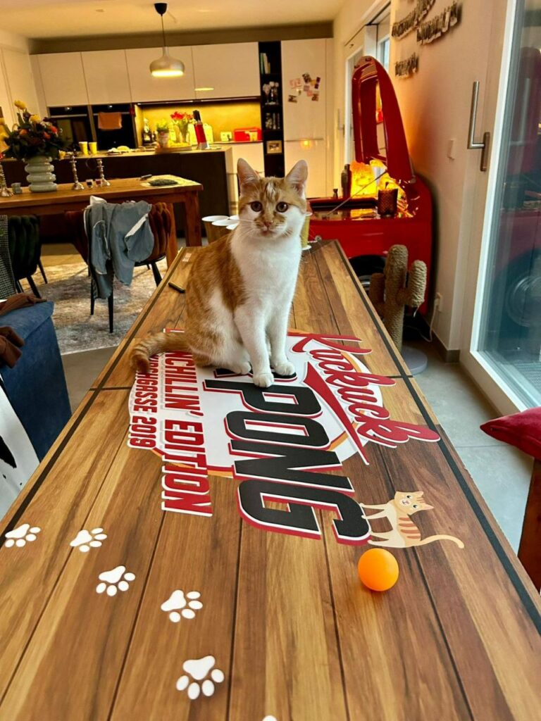 Der Namensgeber Limoncello auf dem privaten Bierpongtisch des Teams „Limonchillin'“.